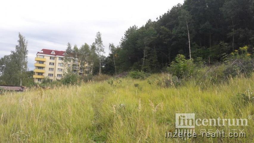 Prodej stavebního pozemku 6295 m2 Teplice Nová Ves