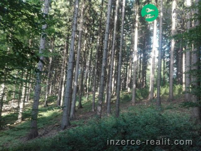 Lesní pozemky v obci Janová u Vsetína